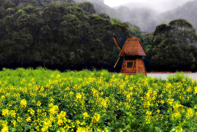 佛山中；峋傩写踊湃讼裆阌安煞缭硕